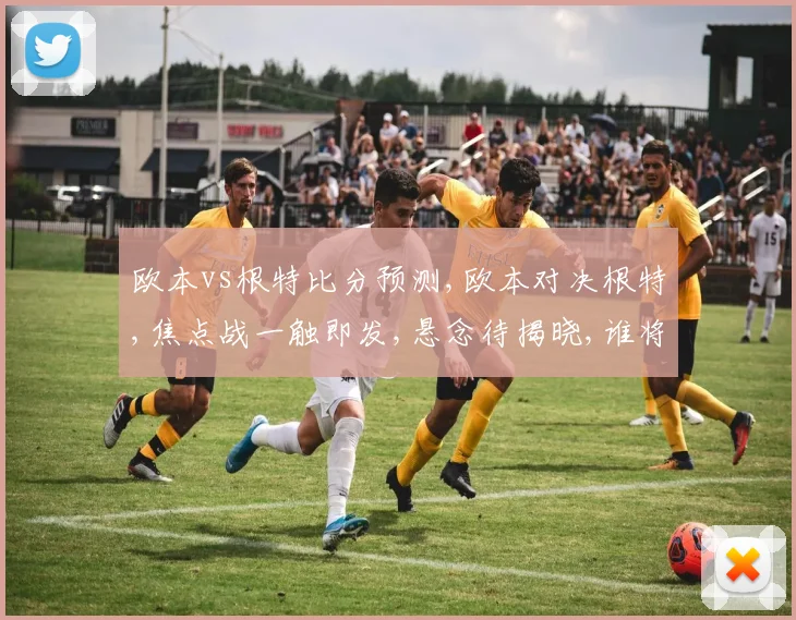 欧本vs根特比分预测,欧本对决根特,焦点战一触即发,悬念待揭晓,谁将问鼎